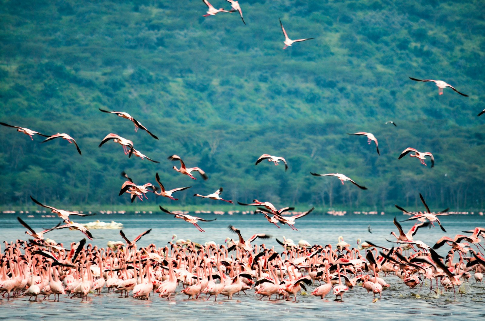 Nakuru, Kenya